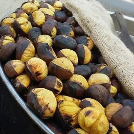 Nina's House 1 A 300 Metri Dal Mare * Santa Caterina Dello Ionio Marina