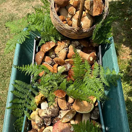 Nina's House 1 A 300 Metri Dal Mare *