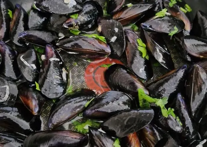 דירה Nina's House 1 A 300 Metri Dal Mare