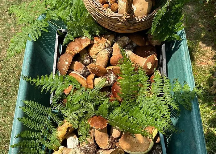 Nina's House 1 A 300 Metri Dal Mare *